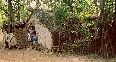 Nitha lebte zuvor mit ihren vier Kindern in dieser armseligen Hütte Nitha lebte zuvor mit ihren vier Kindern in dieser armseligen Hütte