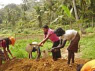 alle helfen fleissig mit, den Weg von Unkraut zu befreien - Bauarbeiten beim Chathura-Kinderheim in Sri Lanka 