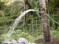 das Wasser wird aus der Grube gepumpt - Bauarbeiten beim Chathura-Kinderheim in Sri Lanka 