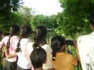 Schau, dort hinten sind Elefanten. Ausflug des Chathura-Kinderheims Erlebnisse beim Ausflug in den Elefantenpark 