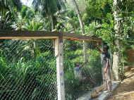 Arbeiten am neuen Spielplatz fuer das Chathura-Kinderheim in Sri Lanka 