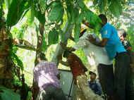 neue Stromversorgung fuer das Chathura-Kinderheim bei Galle in Sri Lanka 