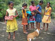 fuenf unserer Maedchen im Chathura-Kinderheim sind stark erkaeltet und muessen zum Arzt nach Galle. Fuer die Fahrt nach Galle haben sie sich huebsch gemacht. 