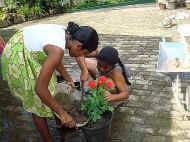Sandamali und Sewwandi vom Chathura-Kinderheim pflanzen liebevoll neue Rosen in Toepfe. Wenn die Wurzeln sich entwickelt haben, werden sie ausgepflanzt. 