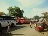 Busse und Tuk-Tuks bestimmen das Straßenbild. 