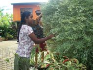 Gartenarbeit beim Chathura-Kinderheim