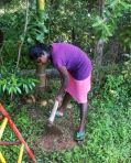 die Mädchen vom Chathura-Kinderheim helfen bei der Gartenarbeit mit. 