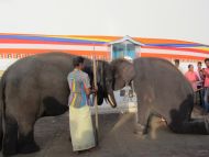 die Mädchen vom Chathura-Kinderheim besuchen den Katharagama-Tempel