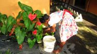 Maduwanthi gießt die Blumen im Hof des Chathura-Kinderheims