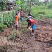 die Mädchen im Chathura-Kinderheim pflegen die jungen Gemüsepflanzen in unserem Garten.