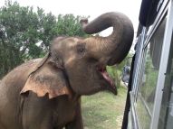 Ausflug in den Ridiyagama Freizeitpark bei Hambantota