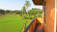 die grünen Reisfelder rund ums Chathura-Kinderheim
