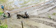 in mühsamer Arbeit durchpflügen die Bauern ihre Reisfelder, um sie für die nächste Aussaat vorzubereiten. 