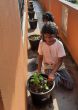 Jungpflanzen werden auf dem Balkon am Chathura-Kinderheim vorgezogen.