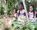 unsere Mädchen im Chathura-Kinderheim 