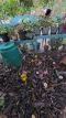 der Komposter im Chathura-Kinderheim