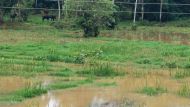 Hochwasser rund ums Chathura-Kinderheim