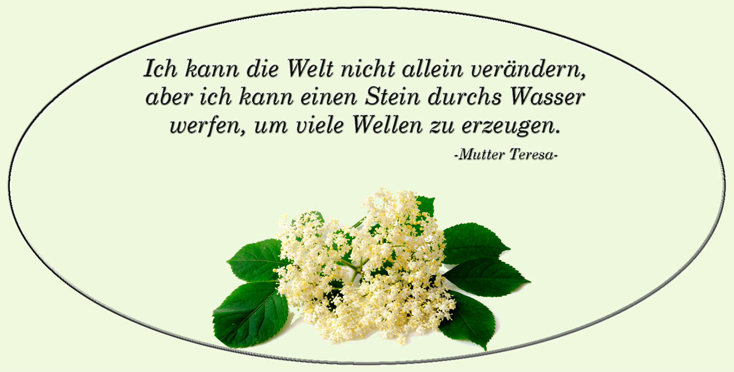 Spruch von Mutter Teresa