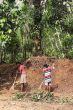 auf dem Spielplatz beim Chathura-Kinderheim wurde das Unkraut gejätet