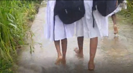 Video ... oft regnet es in Sri Lanka sehr stark