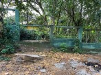 neue Sichtschutzhecke beim Chathura-Kinderheim