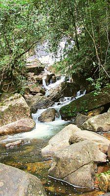 ein Wildbach im Hochland von Sri Lanka