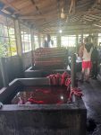 Besuch in einer Batikfabrik in Sri Lanka