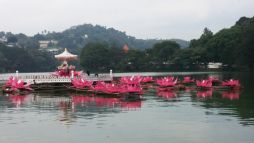 beim Zahntempel in Kandy