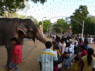 am Tempel in Kataragama