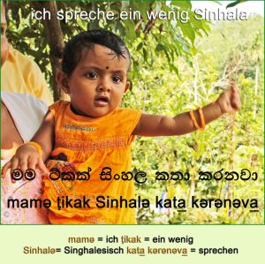 ich spreche ein wenig Singhalesisch - auf Singhalesisch